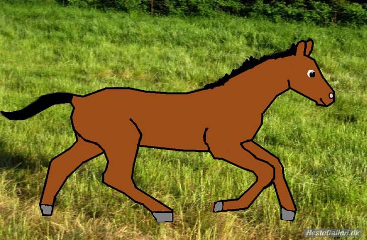 Billeder som i har bestildt billede 1