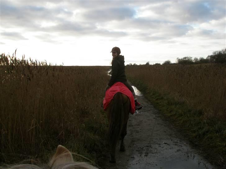Liv & jeg på tur i Kongelundsskoven billede 1