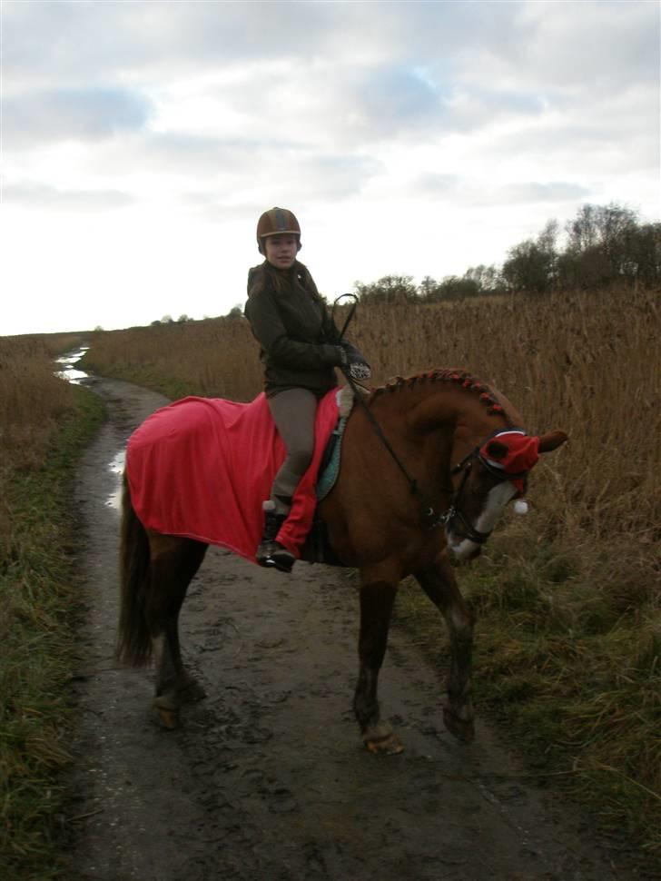 Liv & jeg på tur i Kongelundsskoven billede 2