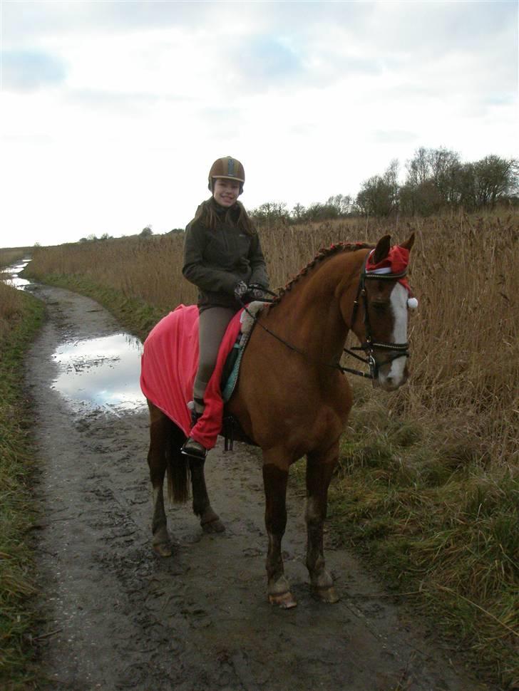 Liv & jeg på tur i Kongelundsskoven billede 3
