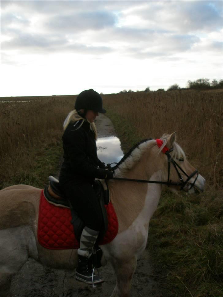 Liv & jeg på tur i Kongelundsskoven billede 4