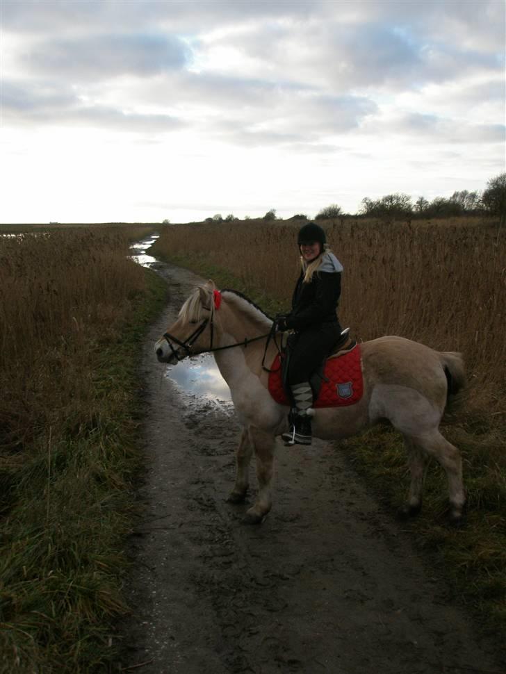 Liv & jeg på tur i Kongelundsskoven billede 5
