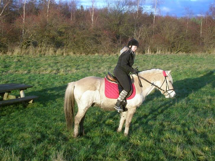 Liv & jeg på tur i Kongelundsskoven billede 13