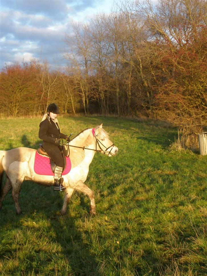 Liv & jeg på tur i Kongelundsskoven billede 14