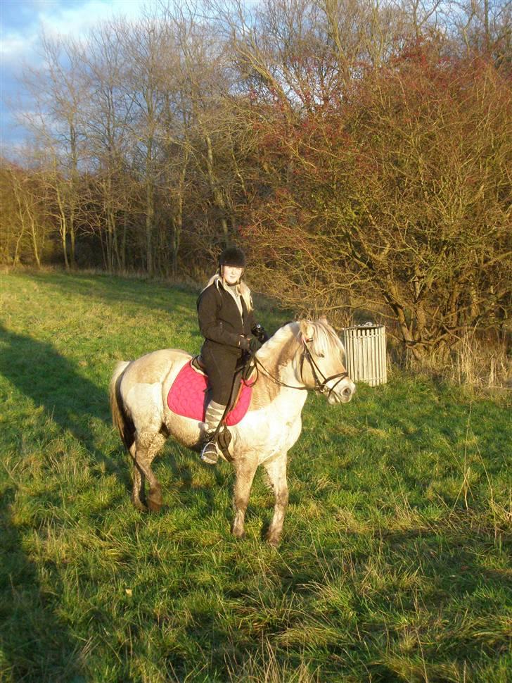 Liv & jeg på tur i Kongelundsskoven billede 15