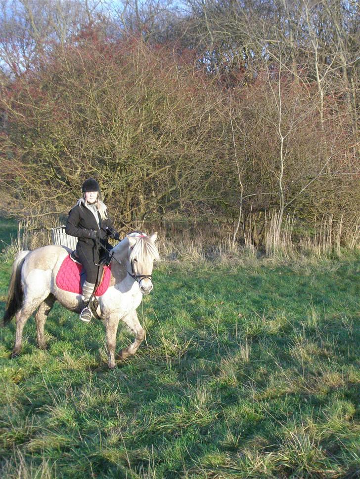 Liv & jeg på tur i Kongelundsskoven billede 16