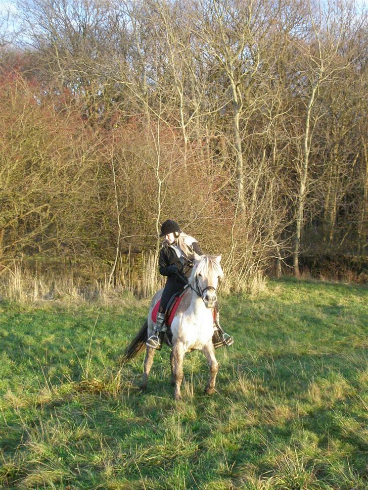 Liv & jeg på tur i Kongelundsskoven billede 17