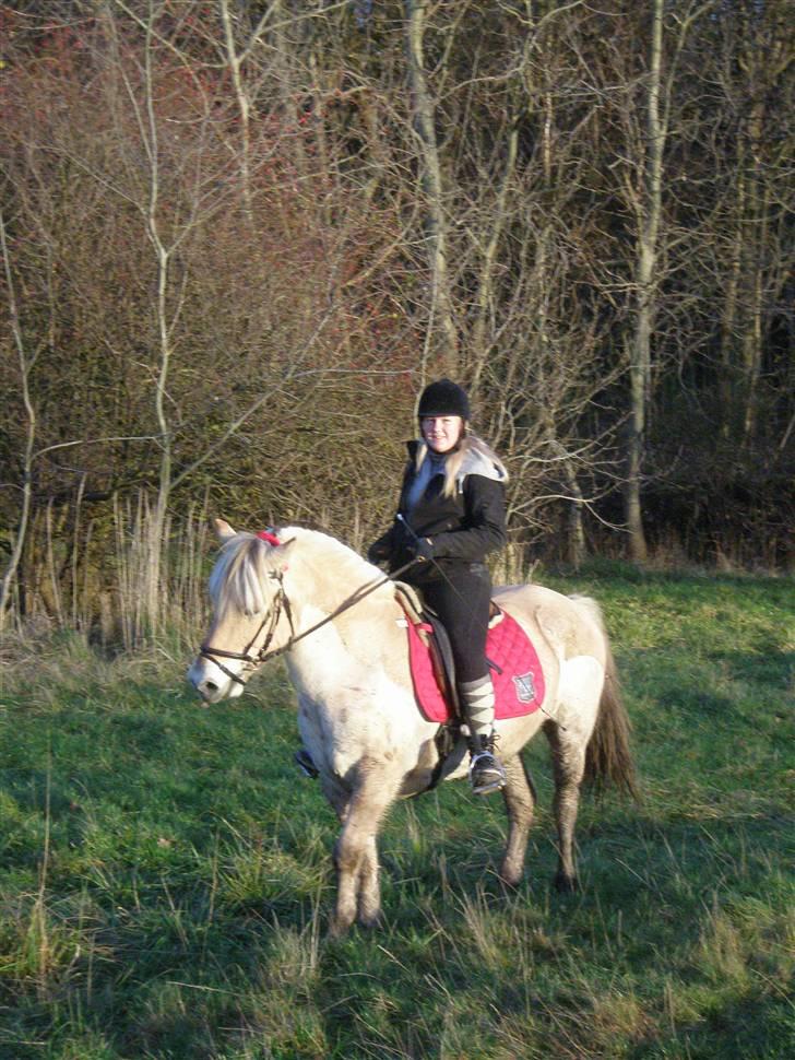 Liv & jeg på tur i Kongelundsskoven billede 18