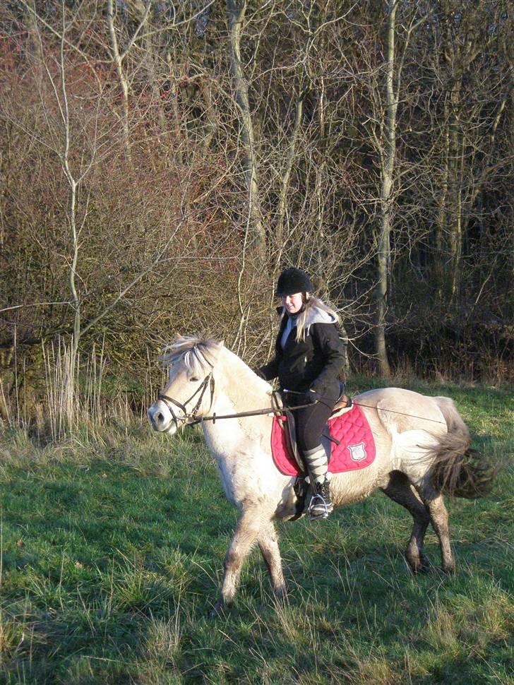 Liv & jeg på tur i Kongelundsskoven billede 19