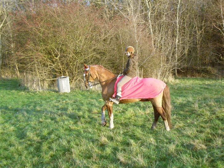 Liv & jeg på tur i Kongelundsskoven billede 21