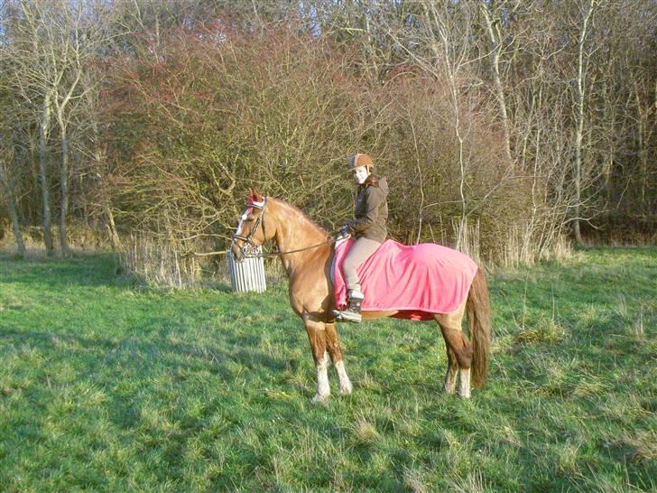 Liv & jeg på tur i Kongelundsskoven billede 22