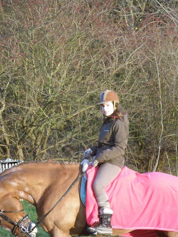 Liv & jeg på tur i Kongelundsskoven billede 23