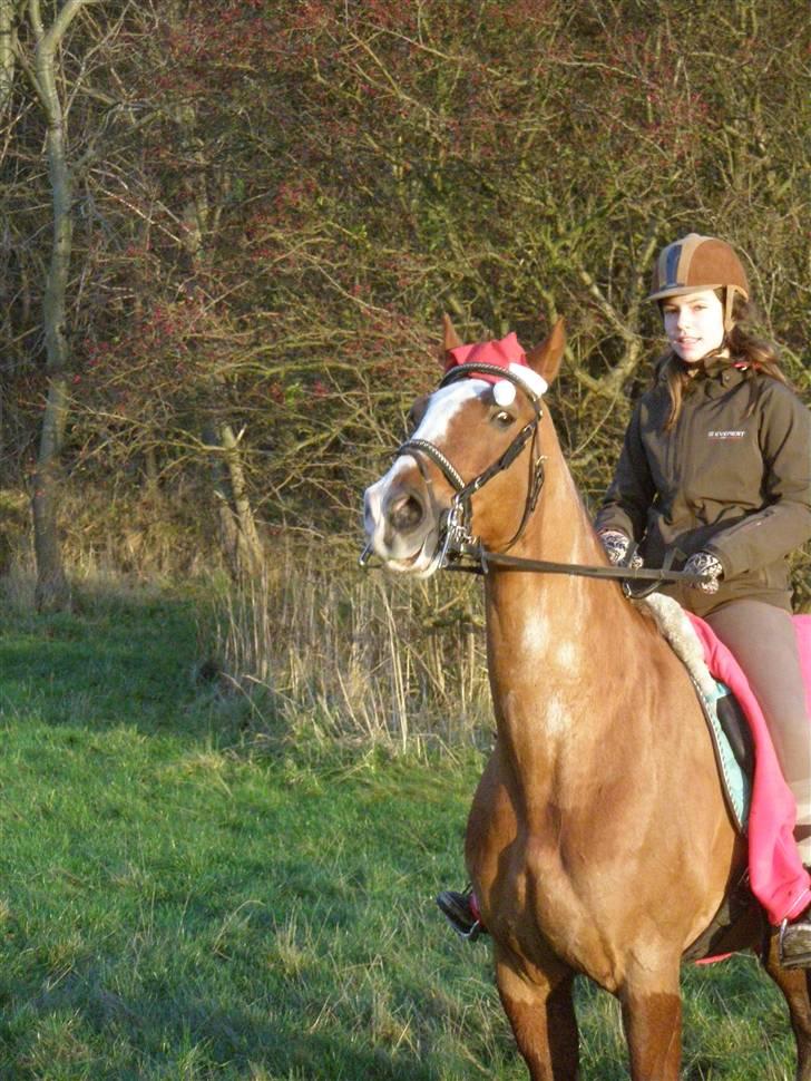 Liv & jeg på tur i Kongelundsskoven billede 24