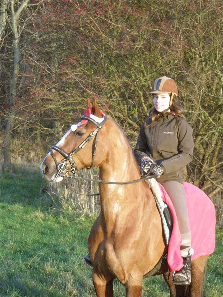 Liv & jeg på tur i Kongelundsskoven billede 25