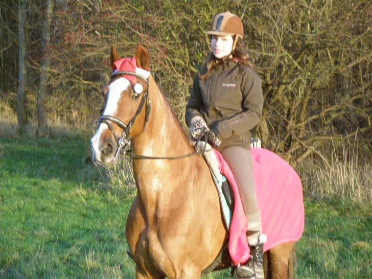 Liv & jeg på tur i Kongelundsskoven billede 26