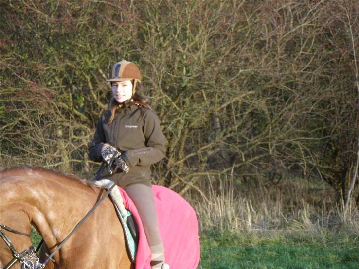 Liv & jeg på tur i Kongelundsskoven billede 27