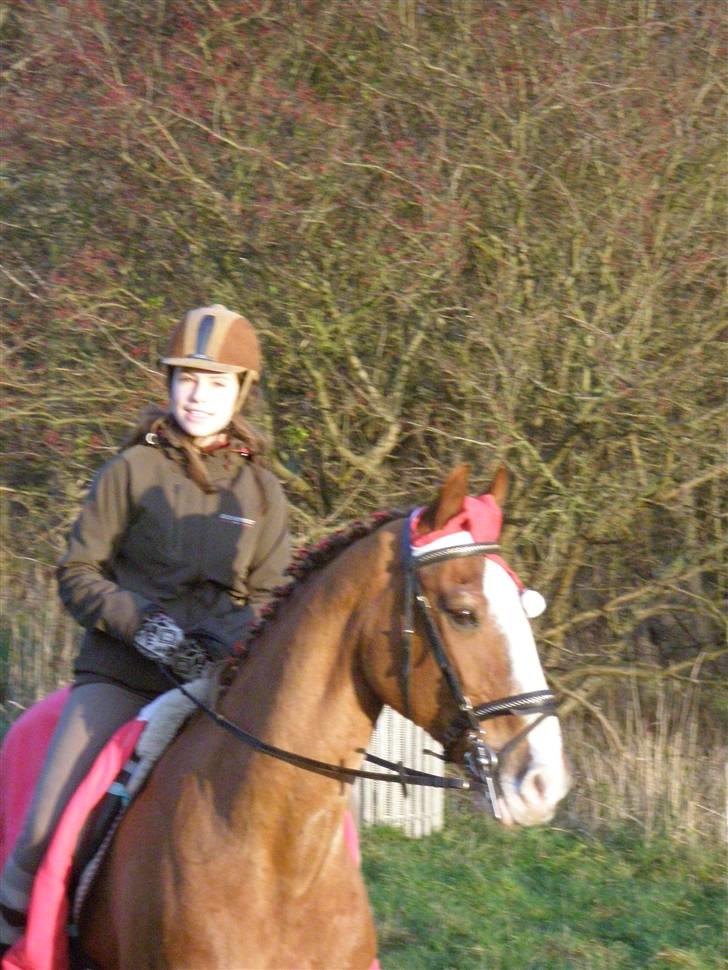 Liv & jeg på tur i Kongelundsskoven billede 28