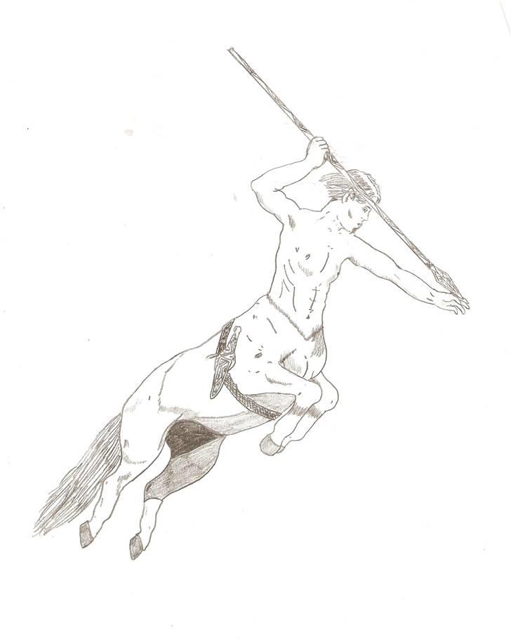 Fantasy - Danin af Kronhjortens klan. billede 1