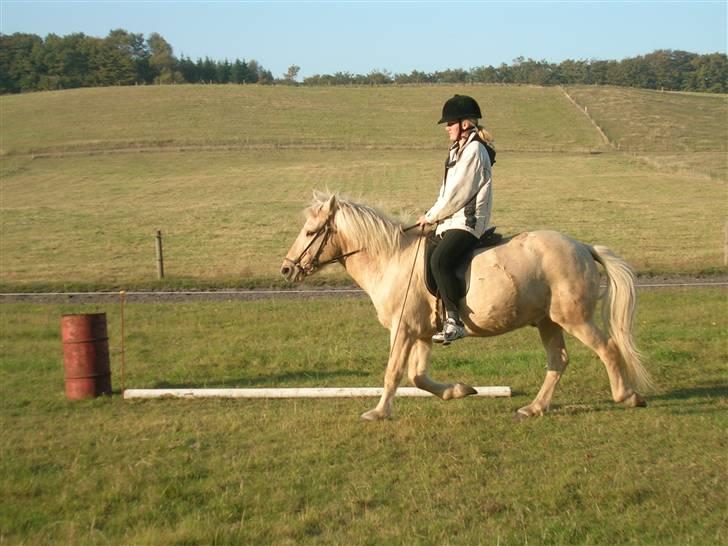 Andre heste, INFO SAVNES - Navn: Feykir
Race: Islænder
Sted jeg red den: Himmelbjergegnens natur og idrætsefterskole
Årstal: 2005/2006 billede 3