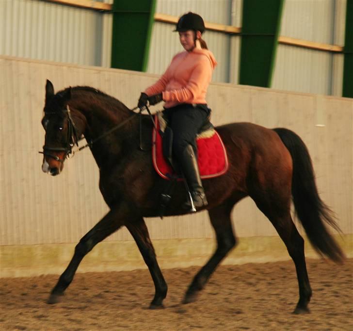 Undervisning af Mathias Tourbier billede 1