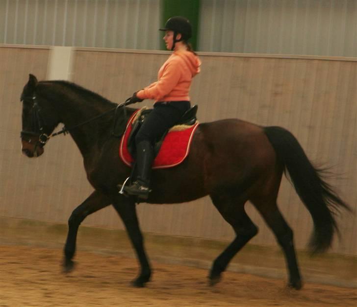 Undervisning af Mathias Tourbier billede 3