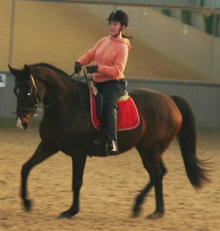 Undervisning af Mathias Tourbier billede 5