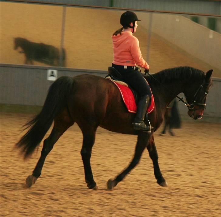 Undervisning af Mathias Tourbier billede 6