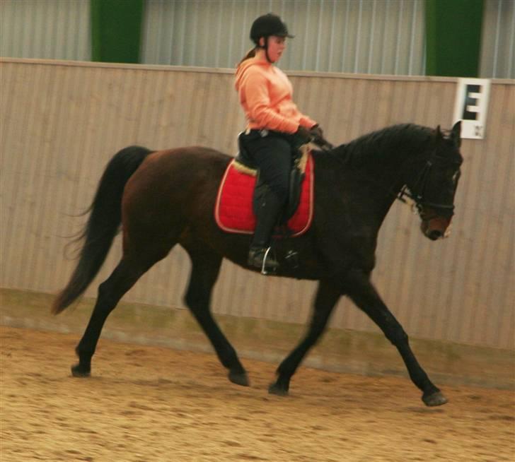 Undervisning af Mathias Tourbier billede 7