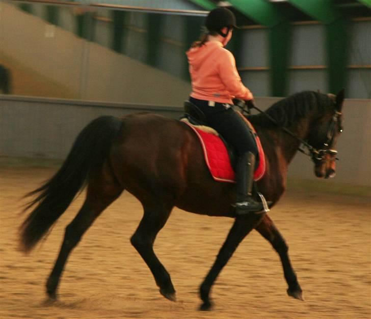 Undervisning af Mathias Tourbier billede 8