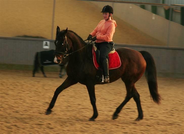 Undervisning af Mathias Tourbier billede 9