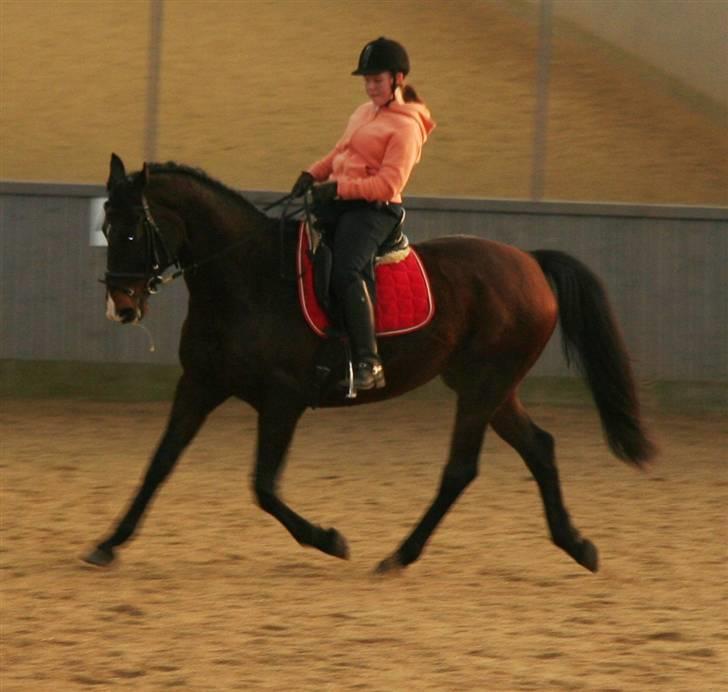 Undervisning af Mathias Tourbier billede 11