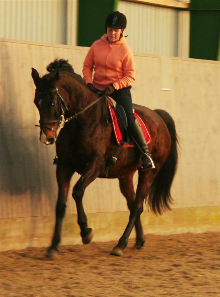 Undervisning af Mathias Tourbier billede 12