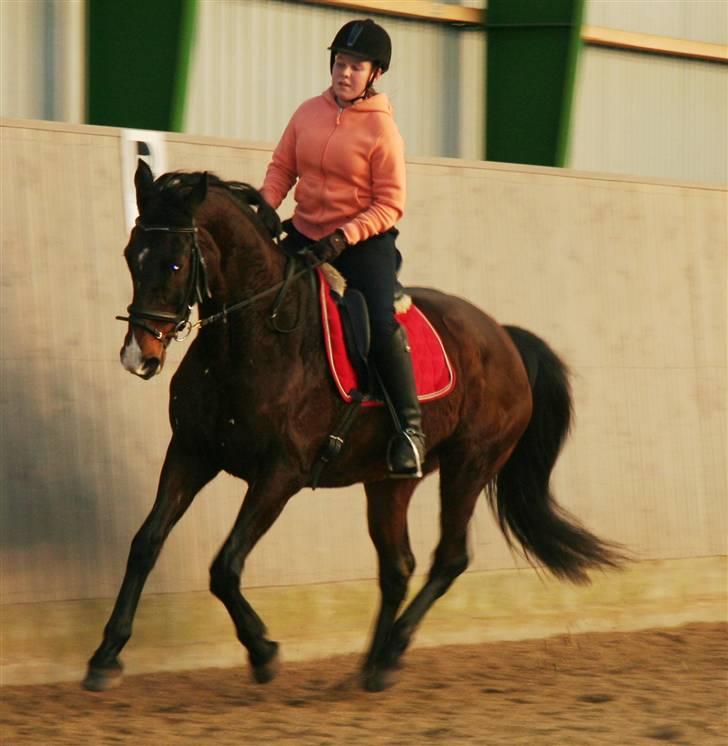 Undervisning af Mathias Tourbier billede 13