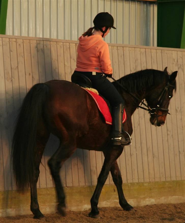 Undervisning af Mathias Tourbier billede 15