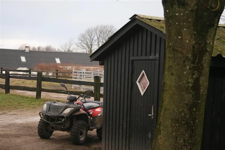 Nordjysk ridecenter & dens flotte Skov :P - Her ser vi en hytte & Rasmus's Crosser (staves?) & lidt af ovalbanen :D billede 3