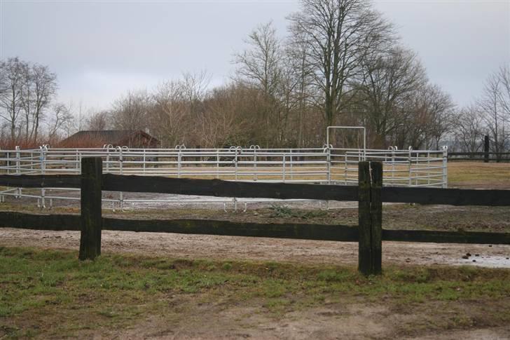 Nordjysk ridecenter & dens flotte Skov :P - Vores Rund del :D billede 4