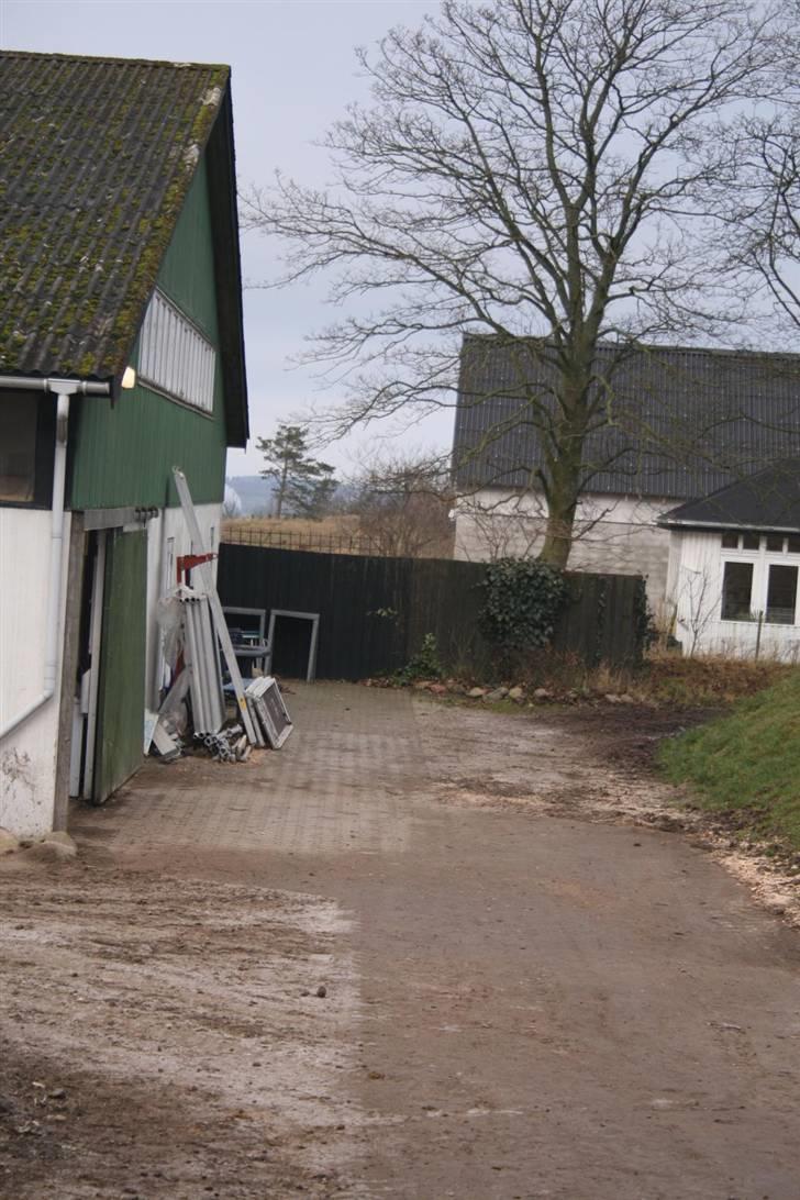 Nordjysk ridecenter & dens flotte Skov :P - Ridehusets idngang :P billede 7