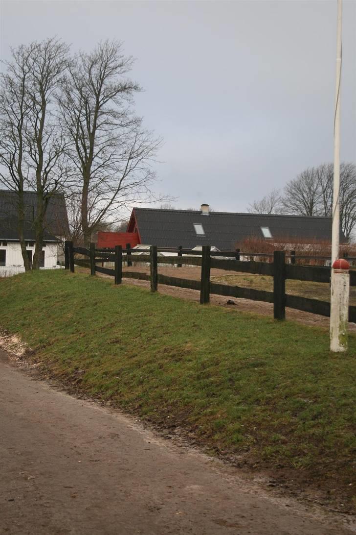 Nordjysk ridecenter & dens flotte Skov :P - Ovalbanen :D billede 8