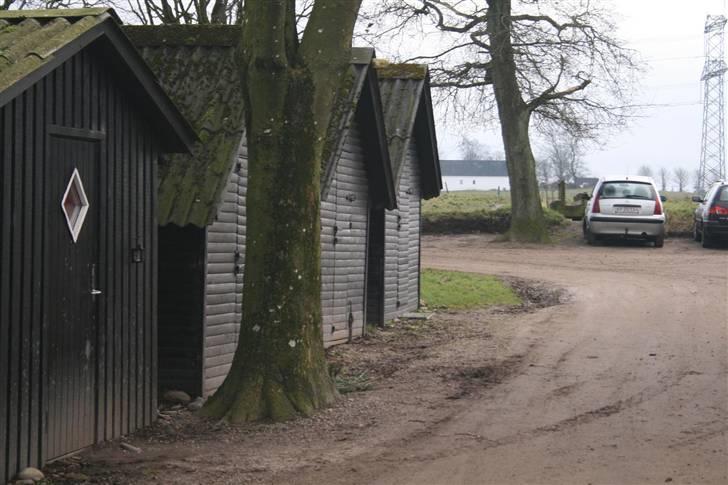 Nordjysk ridecenter & dens flotte Skov :P - Nogle af hytterne :D billede 9