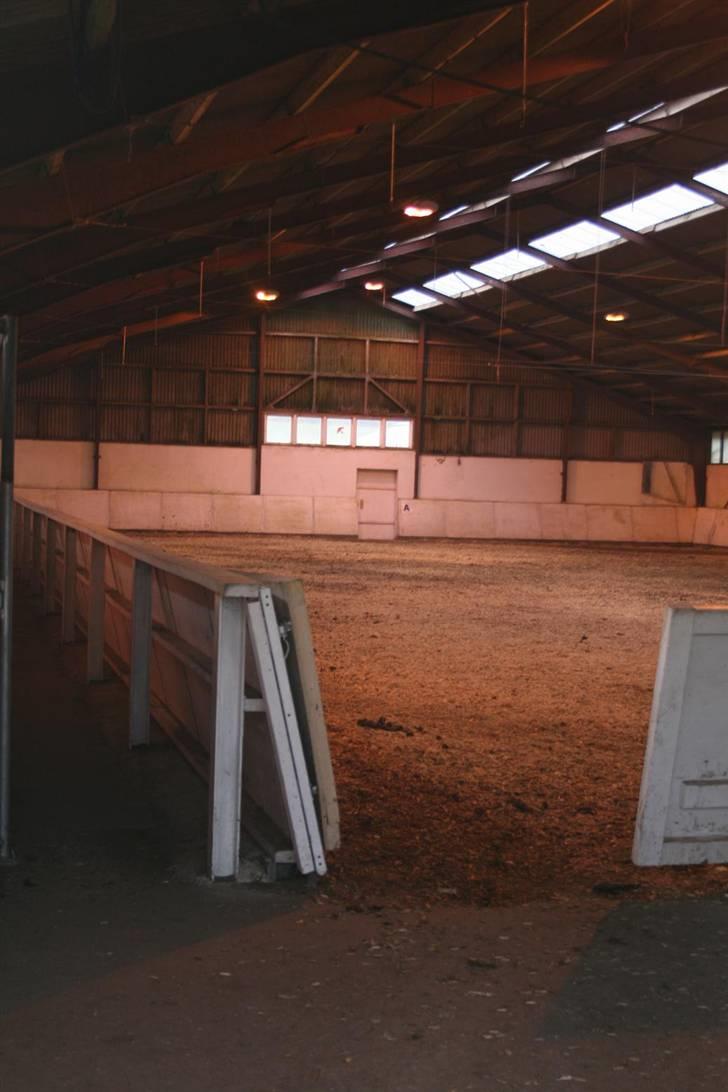 Nordjysk ridecenter & dens flotte Skov :P - Ridehuset:D billede 11