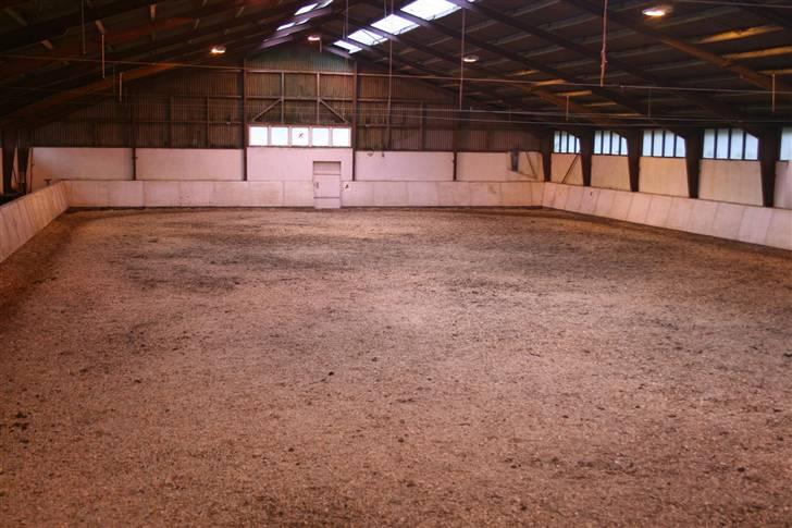 Nordjysk ridecenter & dens flotte Skov :P - Ridehuset:D billede 12