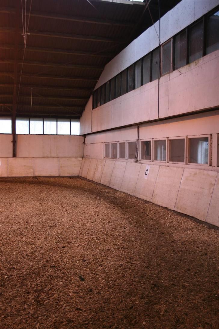 Nordjysk ridecenter & dens flotte Skov :P - Ridehuset, og vores rytterstue (: billede 13