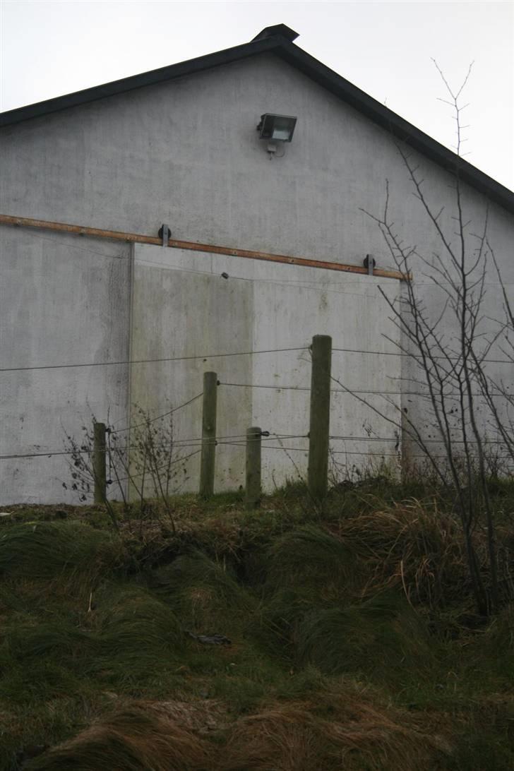 Nordjysk ridecenter & dens flotte Skov :P - Privat stalden "løsdrift"  (til privat hestene) billede 15