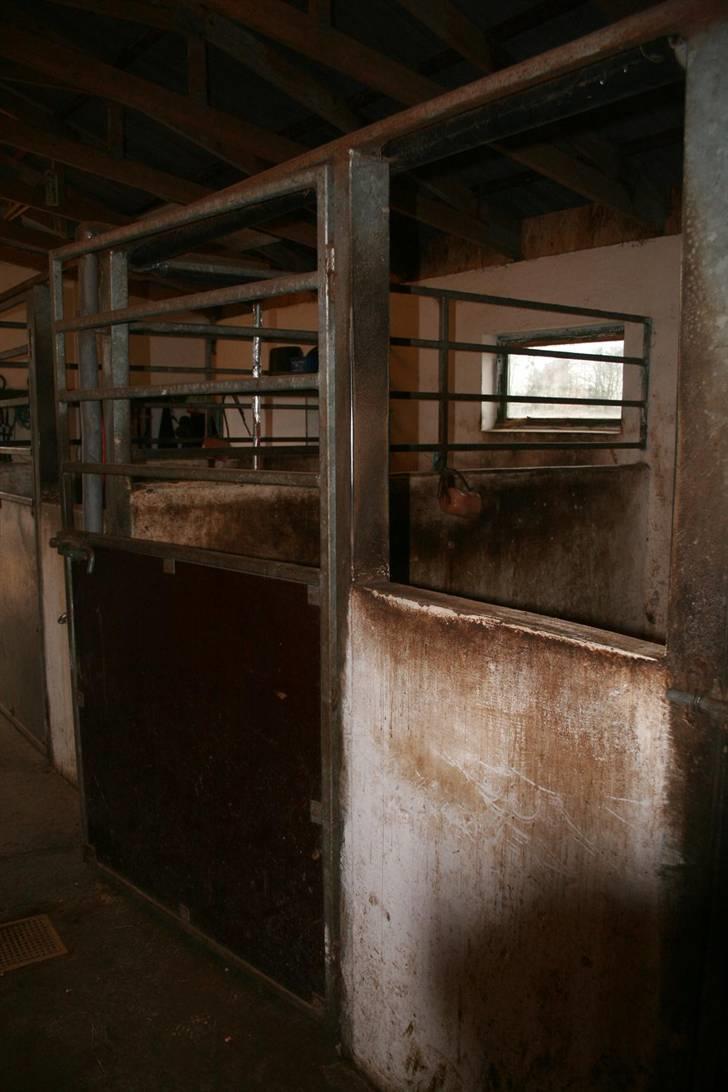 Nordjysk ridecenter & dens flotte Skov :P - Hans boks (: billede 22