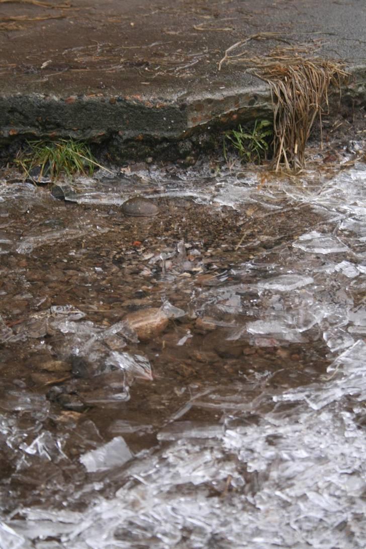 Nordjysk ridecenter & dens flotte Skov :P - Vand og is :P billede 26