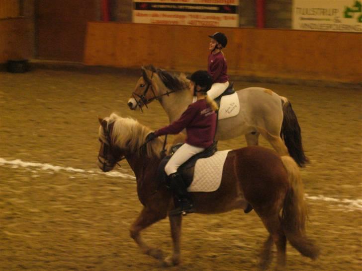 Lidt forskællige billeder af odin :D  - Ud ud ud jubi :D nu skal der være rigtig fart på ! Og u sagde jo jeg skulle være hurtig :D så er jeg det :DDD billede 13
