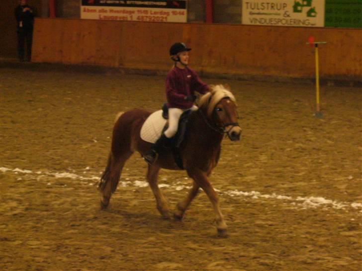 Lidt forskællige billeder af odin :D  - Hjem hjem hjem jubii :DD billede 16