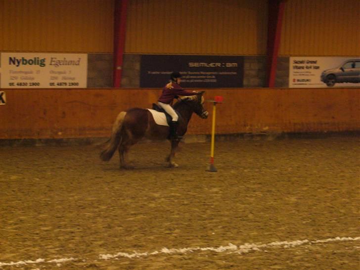 Lidt forskællige billeder af odin :D  - Vidre Odin skynd dig ! :::DDD billede 18