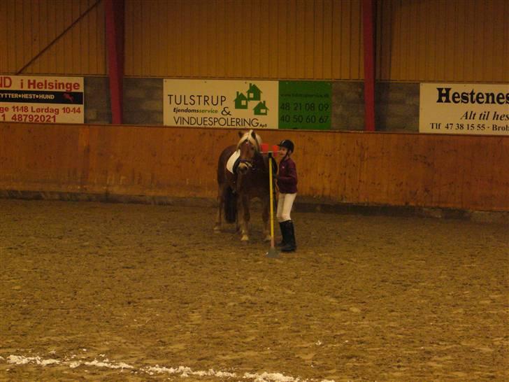 Lidt forskællige billeder af odin :D  - Ups ned ;o) men endte på en 3. plads ::DD billede 19