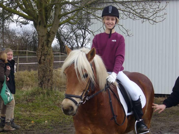 Lidt forskællige billeder af odin :D  - Spring stævne hos os selv ;o) billede 20